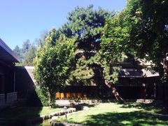 -清华大学-甲所餐厅