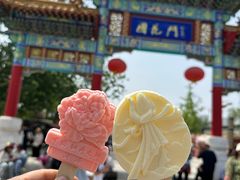 -曹州牡丹园
