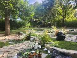 -美薇亭婚礼顾问