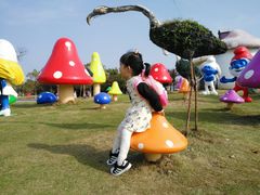 -上海都市菜园