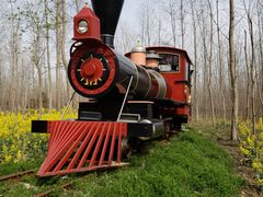 -合肥滨湖国家森林公园