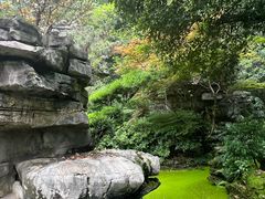 -南山植物园