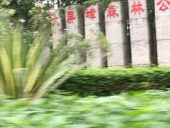 -大屏嶂森林公园