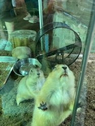 -Zoolung Zoolung动物主题公园(海信广场店)