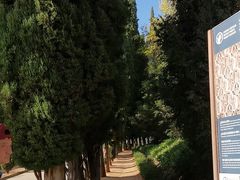 -阿尔罕布拉宫