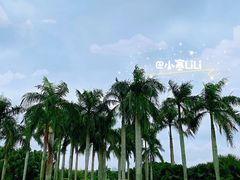 -万绿园