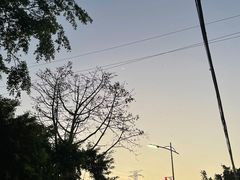-崖口煲仔饭