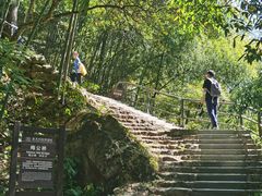 -东天目山风景区