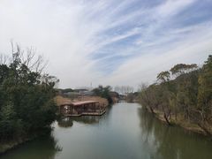 -同里国家湿地公园