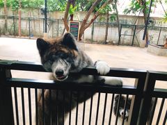 -TrueLove @ Neverland (Husky Cafe)