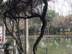 -西园戒幢律寺