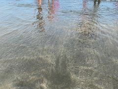 -台山黑沙湾海浴场