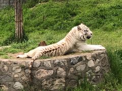 -西安秦岭野生动物园