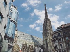 -斯蒂芬主教座堂(Stephansdom)
