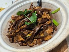 鹿茸菌炒土猪肉-广东道至正餐厅(区庄店)