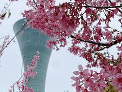 -狐尾山公园