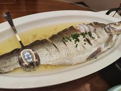 -鲁宴·鲁煨黄河生态大鲤鱼(月坛店)