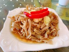 -冯氏吴山贡鹅(206国道店)