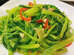 -富来美食(成发大厦店)