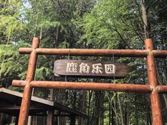 -溱湖国家湿地公园