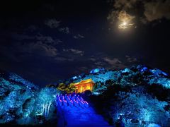 -印象普陀