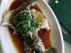 清蒸鱼-清心鸡沙田乳鸽店·非遗传承(粤垦路店)