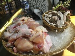 -洪氏嗨捞·广东猪肚鸡·椰子鸡火锅(西咸万象城店)