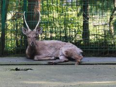 -武陵山森林公园