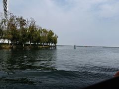 -白洋淀景区