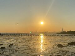 -深圳湾公园(南山区)