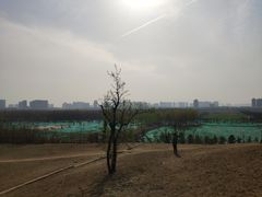 -汉长安城未央宫国家考古遗址公园