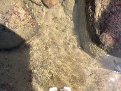 -广东惠东海龟国家级自然保护区