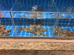 -厦门宝龙铂尔曼大酒店·海鲜自助餐厅