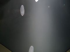 -西海国立公园九十九岛水族馆