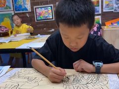 -杨梅红艺术教育(西安高新唐延教学中心)