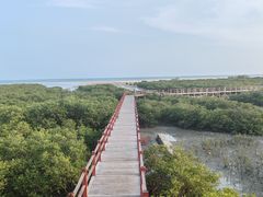 -北海金海湾红树林生态旅游区