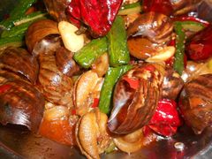 白玉蜗牛-可可大虾武汉土菜大排档(万松园1店)