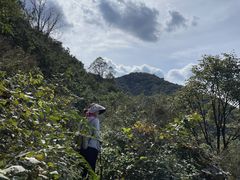 -阳台山自然风景区