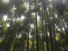 -同里国家湿地公园