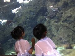 -南昌海洋公园