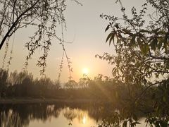 -北坞公园