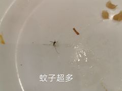 -孟记粥铺·家常菜·烧烤·粥(亚运村店)