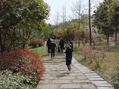 -鹦鹉寺公园