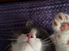 -無境·匠心日本料理(汉街店)