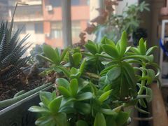 -雕刻时光咖啡馆(交大店)