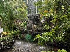 -花溪雨·森林餐厅(石基店)