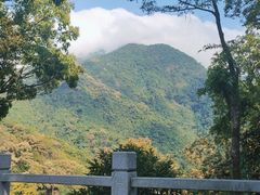 -梧桐山风景名胜区