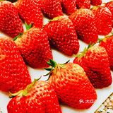 随心所欲DIY 肉松水果蛋糕盒子🍰