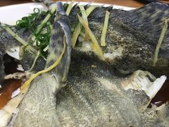 -四川人郑霞海鲜