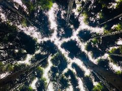 -山王坪喀斯特国家生态公园
